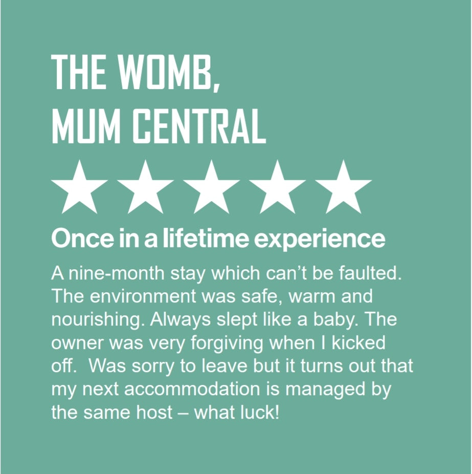 Baby reviews its stay in the womb giving it 5 stars and writes "Once in a lifetime experience. A nine-month stay which can't be faulted. The environment was safe, warm and nourishing.  Always slept like a baby. The owner was very forgiving when I kicked off. Was sorry to leave but it turns out that my next accommodation is managed by the same host - what luck!"  