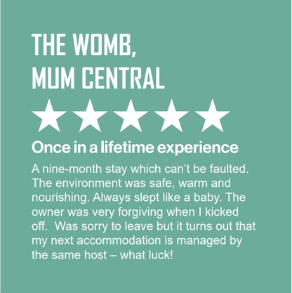 Baby reviews its stay in the womb giving it 5 stars and writes "Once in a lifetime experience. A nine-month stay which can't be faulted. The environment was safe, warm and nourishing.  Always slept like a baby. The owner was very forgiving when I kicked off. Was sorry to leave but it turns out that my next accommodation is managed by the same host - what luck!"  